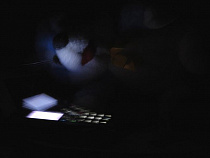 Коллекторам запретят тревожить ипотечных заемщиков по ночам