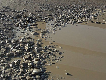 Жительница Пионерского заставила администрацию привести дорогу к ГОСТу