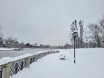 Беспрозванных посоветовал всем брать в руки лопаты