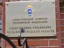 СК: исчезнувшая пятилетняя девочка могла утонуть в Преголе