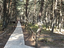 Уголок Калининградской области попал в двадцатку самых мистических мест России