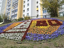 Дятлова удивила новым символом Калининградской области