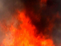 Республика Коми: книг Брюшинкина мы не жгли 