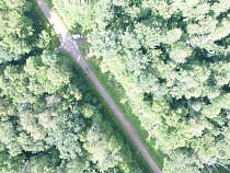 Пропавшего в Багратионовском районе 76-летнего грибника нашли живым