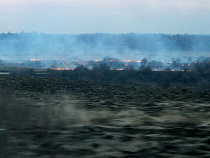 Поля Калининградской области погрузились в огонь 