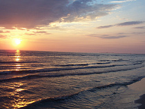 В Калининграде за круглым столом поговорят об ответственной экологической политике в Балтийском регионе