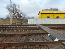 В Калининградской области поезд врезался в коров