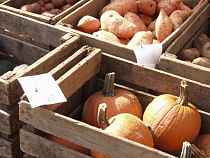 В 2017 году в Калининградской области пройдет 360 ярмарок