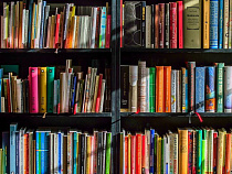 Светлогорская библиотека может работать на туристический рынок – эксперт 