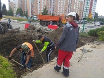 «Это позор»: Дятлову вынудили жалобами съездить на Автомобильную 