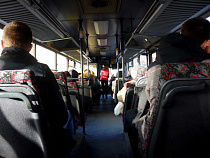 В Калининграде выбирают голоса для объявления остановок