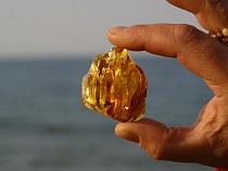 Янтарная лихорадка: на Калининградском взморье задержано 11 нелегальных старателей