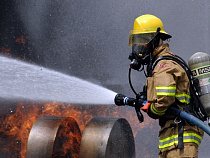 Калининград вошел в новый год "с огоньком"