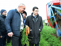 Врио губернатора Калининградской области побывал на уборке моркови