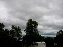 На Калининградскую область идут грозовые дожди с градом и ветром до 20 м/с