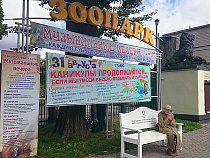 В последнее воскресенье ноября многодетные мамы Калининграда смогут бесплатно посетить зоопарк