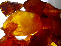 Стало известно, где платят на 70% больше, чем на обычной работе 