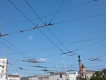 Какая погода будет в понедельник