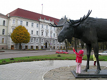 Сотрудники полиции Советска предоставили неполные и недостоверные сведения о доходах