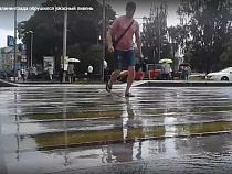 На Калининград обрушился шквальный ливень (видео)