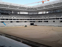 В Калининграде не могут засеять футбольное поле травой