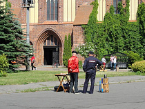 Министерство культуры Калининградской области распределило почти три миллиона рублей в виде грантов