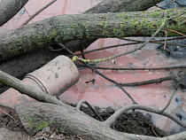 Под Зеленоградском мясоперерабатывающее предприятие сливало сточные воды в мелиоративный канал