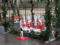 Власти Светлогорска пригласили «послушать» хор зайчиков 