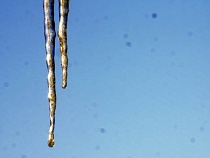 Заморозки грозят посевам в Калининградской области