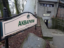 Алиханов дал зоопарку 16 млн на проект реконструкции аквариума