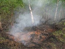 Под Калининградом тлеет свалка или торфяники