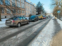 Гололёд кардинально поменял жизнь животных и школьников