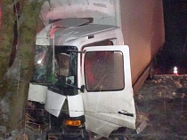 В районе Балтийской АЭС «Мерседес-Бенц» врезался в дерево