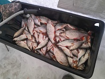 Появились новые места конских уловов рыбы в Калининградской области