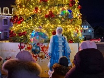 Нашлась ёлка с самым красивым фоном в Калининградской области