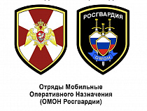 Росгвардия берёт на себя оборот оружия, СОБР и ОМОН 