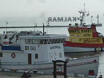 Шведский депутат: в Калининграде и Кальмаре возможен общий проект о викингах