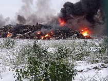 Эко-активисты сняли на видео сжигание животных у фермы Дубрава