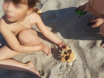 Дети нашли череп человека на пляже Балтийского моря (фото)