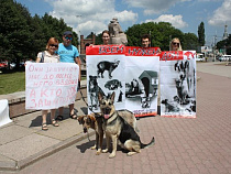Катерина Ублинская: "КАМАЗ с мертвыми бездомными животными – это варварство!"
