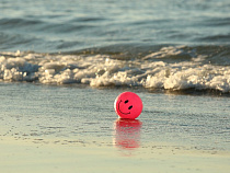 Через три дня в Калининградской области потеплеет до +26 градусов