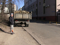 В Калининграде задержали водителя с 3 кубометрами древесины в «ЗИЛе»