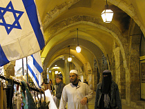 В Госдуме задумались о наказании Израиля после гибели российского Ил-20 в Сирии