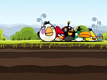 Инвесторов для своего парка “Angry Birds” калининградцы найдут сами