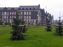 «БСТ-Строй» заплатит за погибшего на стройке Нахимовского училища подростка