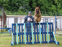 Калининградское УФСИН определилось с лучшими кинологами