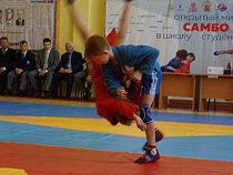 Чиновники рассказали, сколько они платят детям 