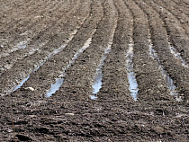 Гендиректор ООО «Птицеводческий комплекс «Продукты Питания» оштрафован на 50 тысяч рублей