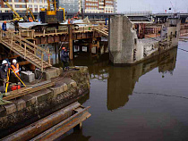 В Калининграде поставят памятник сому