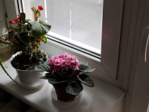 Прокуратура отстаивает права ребенка-сироты на жилье